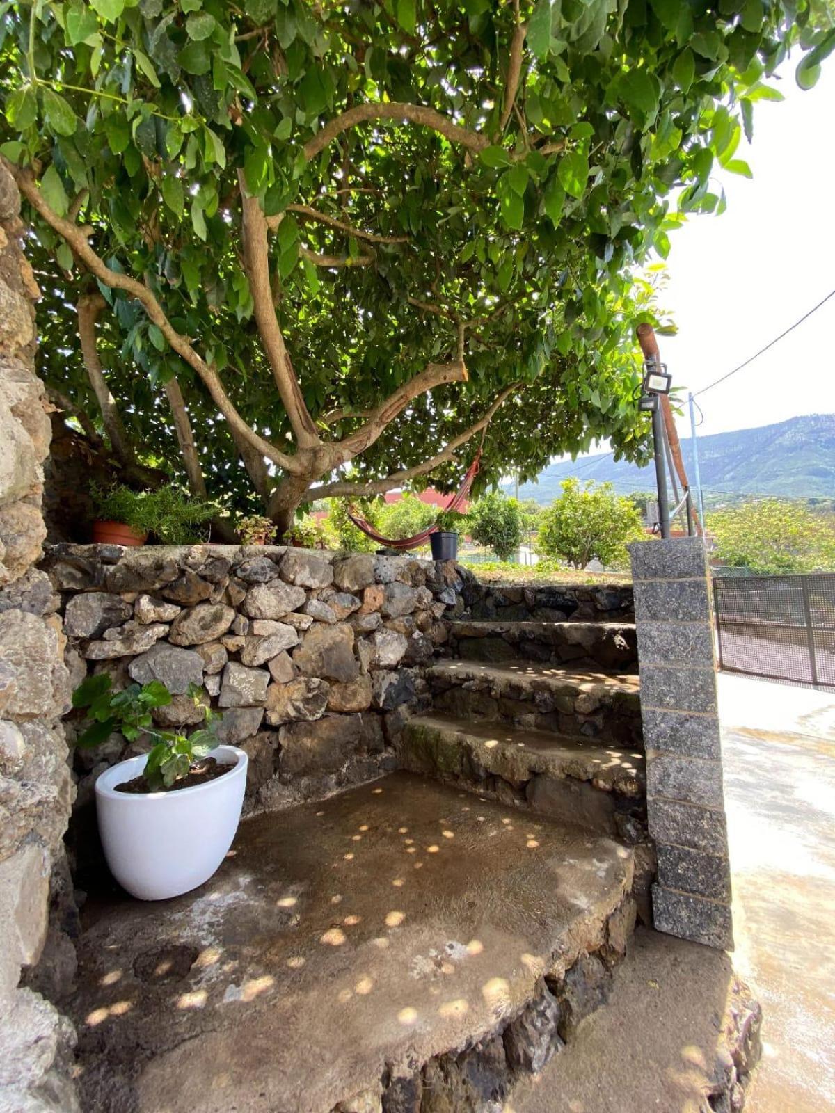 Villa Perejil Realejo Alto Exterior foto